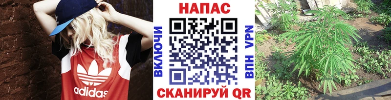 кракен как зайти  где купить наркотик  Пермь  Каннабис MAZAR 